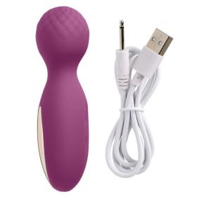 Cloud 9 Health &amp; Wellness Flexi-massager Rechargeable Wand Plum